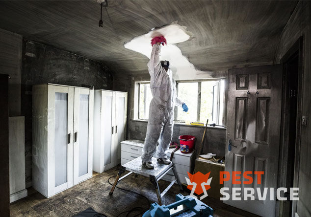 Профессиональная уборка помещений после пожара в Кинешме от 2500 руб: удаление сажи, копоти и запаха гари, глубокая очистка поверхностей и восстановление чистоты. Быстро, безопасно и эффективно.